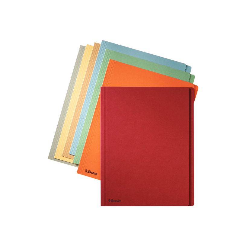 5411313603683-Esselte Manilla - 100 Chemises A4 - gris-P_300034727_1-0