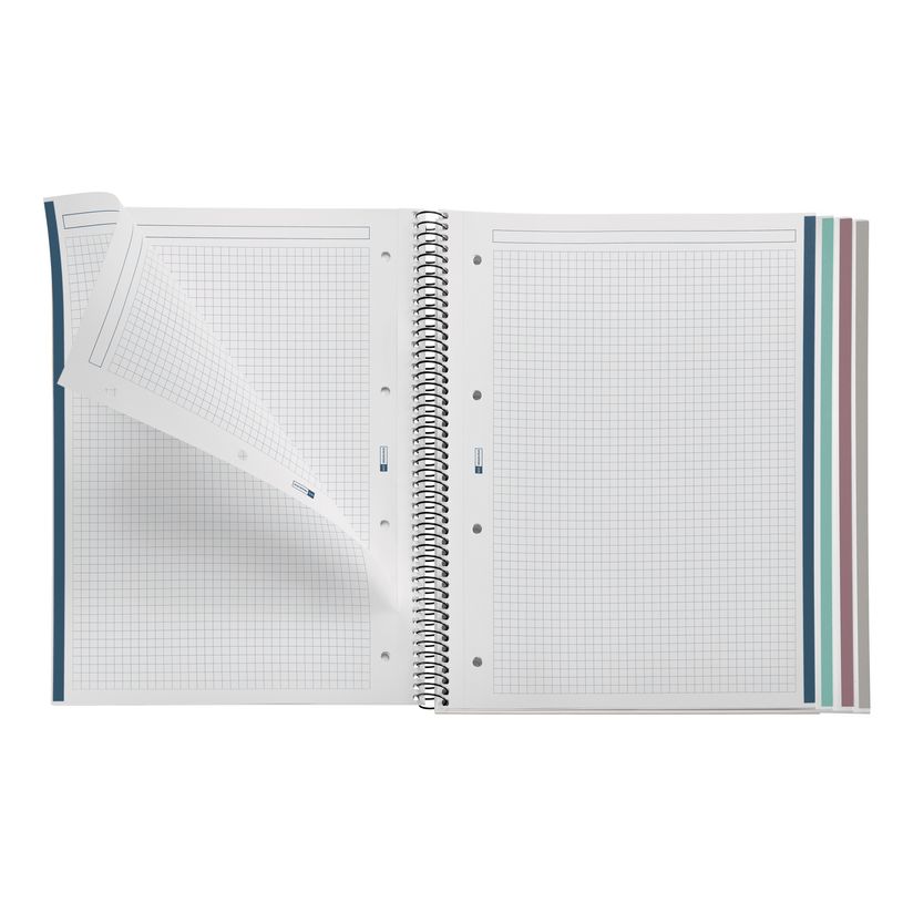 8422593060285-Notebook Eco Design, Carton recyclé, A4, quadrillage 5x5 mm, 120 feuilles de 4 couleurs, Miquelrius, K--3