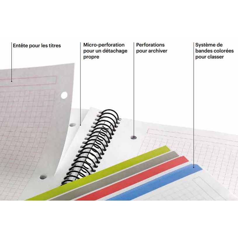 8422593060292-Notebook Eco Design, Carton recyclé, A5, quadrillage 5x5 mm, 120 feuilles de 4 couleurs, Miquelrius, N--7