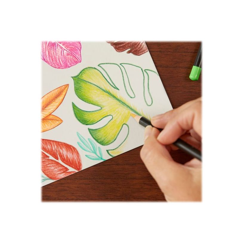 3086123651968-BIC Intensity Premium - 12 Crayons de couleur - couleurs assorties-P_300038691_2-1