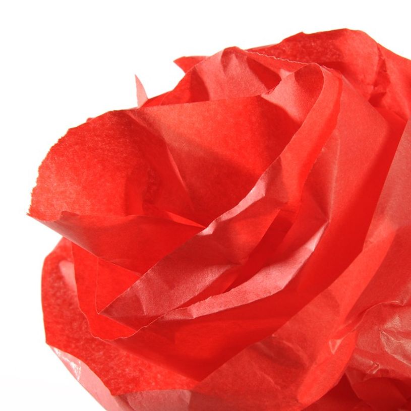 3148959926624-Canson Art & Crafts - Papier - Rouleau (50 cm x 5 m) - rouge vif - 20 g/m² - papier en so-P_300043337_1-0