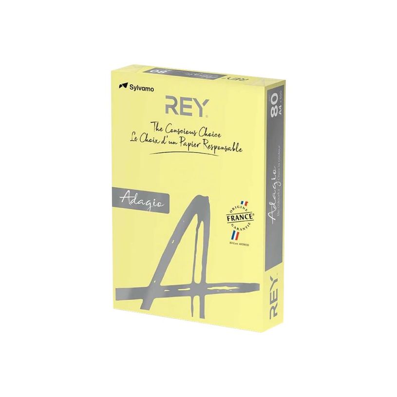 3368220102667-Rey Adagio - Papier couleur - A4 (210 x 297 mm) - 80 g/m² - Ramette de 500 feuilles - jau-P_300044636_1-0