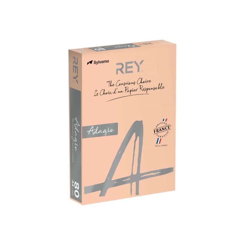 3368220134019-Rey Adagio - Papier couleur - A4 (210 x 297 mm) - 80 g/m² - Ramette de 500 feuilles - cha-P_300044638_1-0