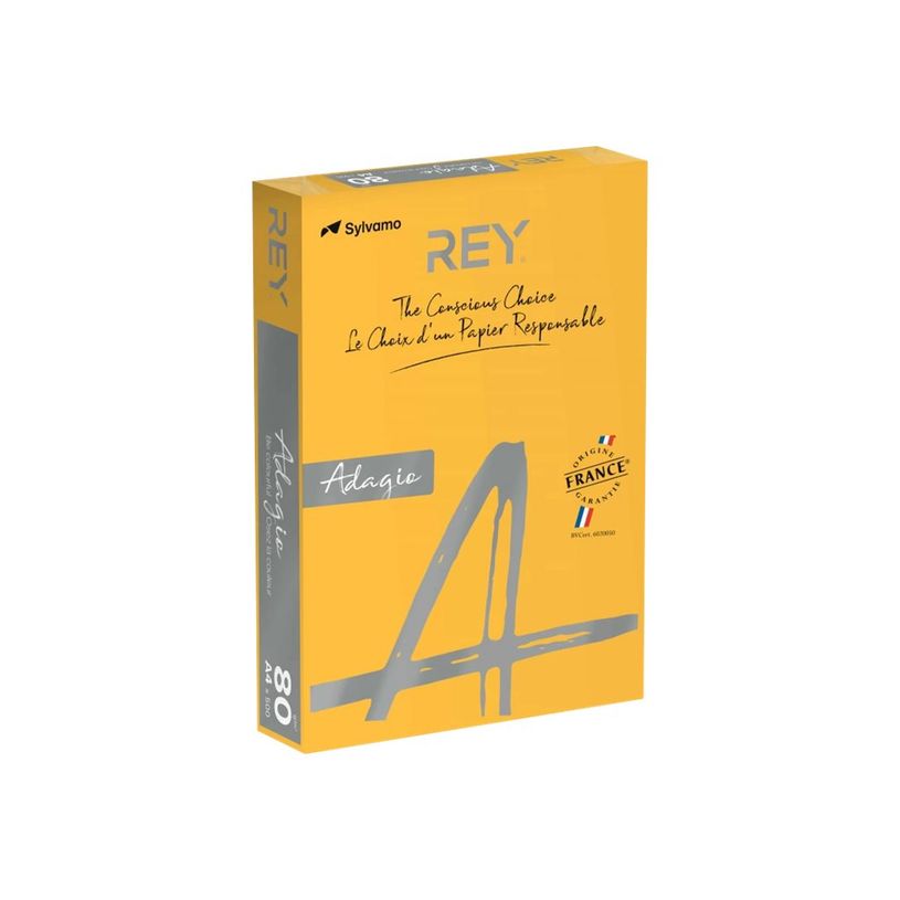 3368220102483-Rey Adagio - Papier couleur - A4 (210 x 297 mm) - 80 g/m² - Ramette de 500 feuilles - abr-P_300044644_1-0