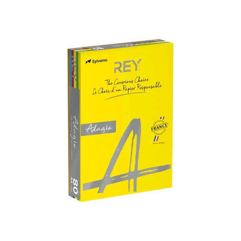 3141720159818-Rey Adagio - Papier couleur - A4 (210 x 297 mm) - 80 g/m² - Ramette de 200 feuilles - cou-P_300044652_1-0