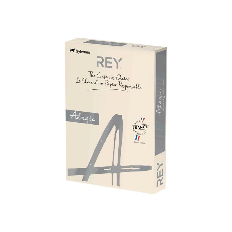 3368220089494-Rey Adagio - Papier couleur - A3 (297 x 420 mm) - 80 g/m² - Ramette de 500 feuilles - ivo-P_300044654_1-0