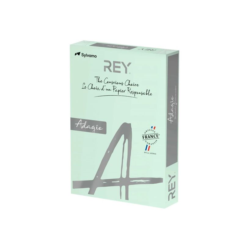 3368220089463-Rey Adagio - Papier couleur - A3 (297 x 420 mm) - 80 g/m² - Ramette de 500 feuilles - ver-P_300044659_1-0