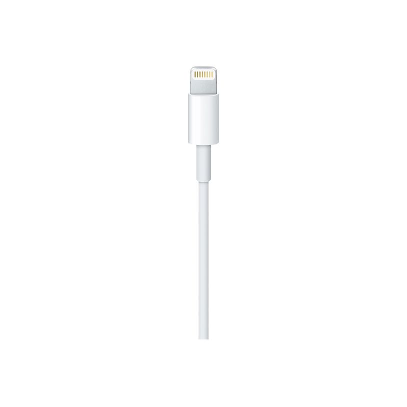 888462496988-Apple - Câble USB-C Lightning - Lightning mâle pour USB-C mâle - 2 m-P_300049252_1-2