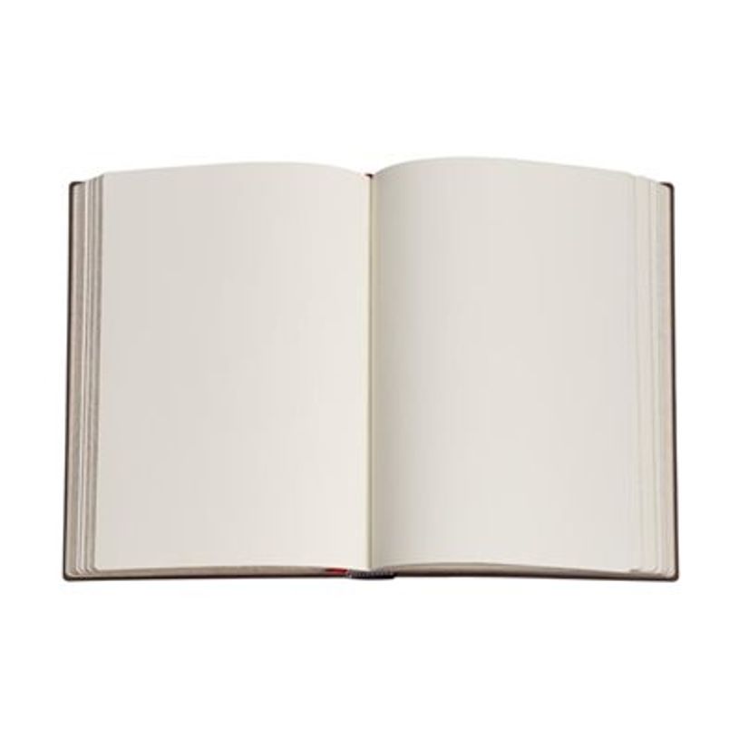 9781551565385-Paperblanks Turquoise Chronicles - Carnet - reliure piquée - ligné - vert-P_300050886_5-6