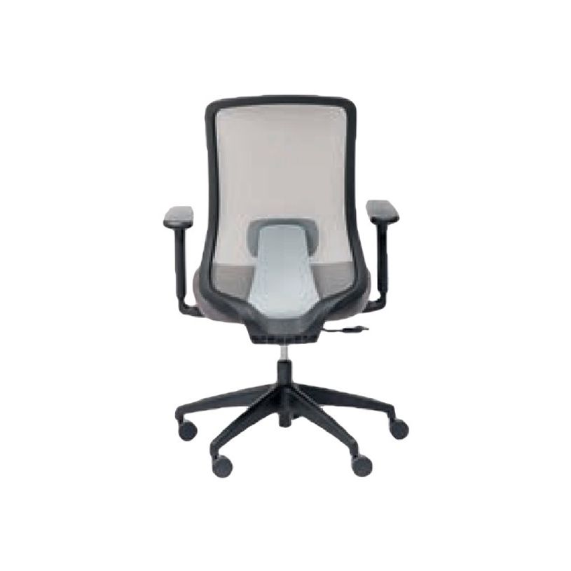 0403000521160-Fauteuil de bureau LANDO- accoudoirs - gris-P_300052116_1-0