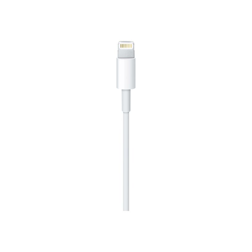 0885909627448-Apple - Câble Lightning - Lightning mâle pour USB mâle - 2 m-P_300053883_3-2