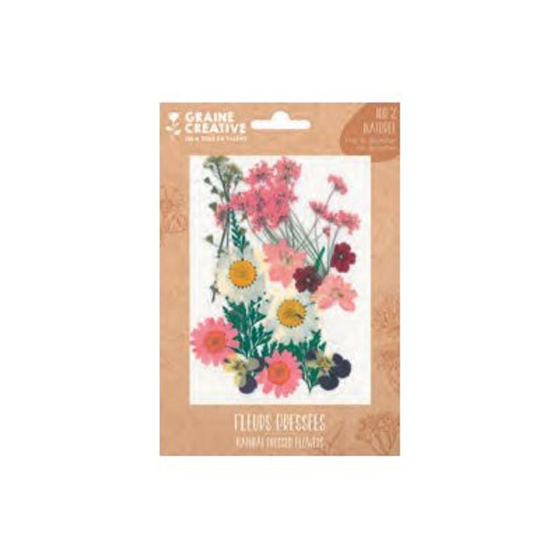 3532432002729-Graine Creative - Ensemble de fleurs pressées - 16 pièces - prairie rose-P_300054586_1-0