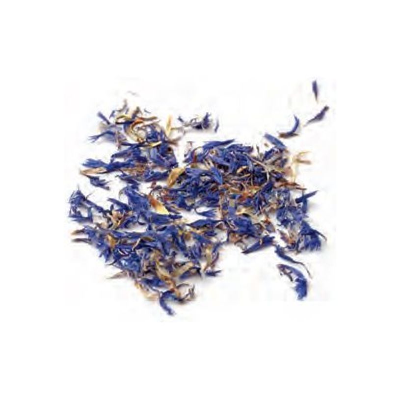 3532432002170-Graine Creative Blueberry - Dried flowers - 10 g-P_300054590_1-0