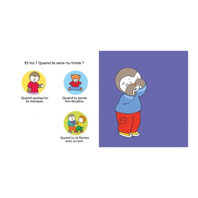 9782092590249-T'choupi devine les émotions - T'choupi - par Courtin Thierry-P_300054747_5-4