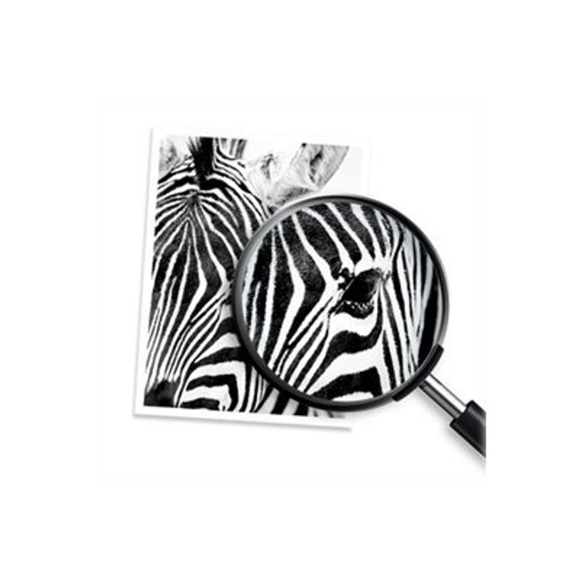 0194721022097-HP 6ZA17AE - Noir - tête d'impression originale-P_300055383_23-9