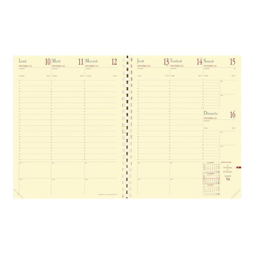 3371010182411-Quo Vadis - Agenda à spirale Impala Manager - 1 semaine sur 2 pages - 21 x 27 cm - disponible-P_371104_2-5
