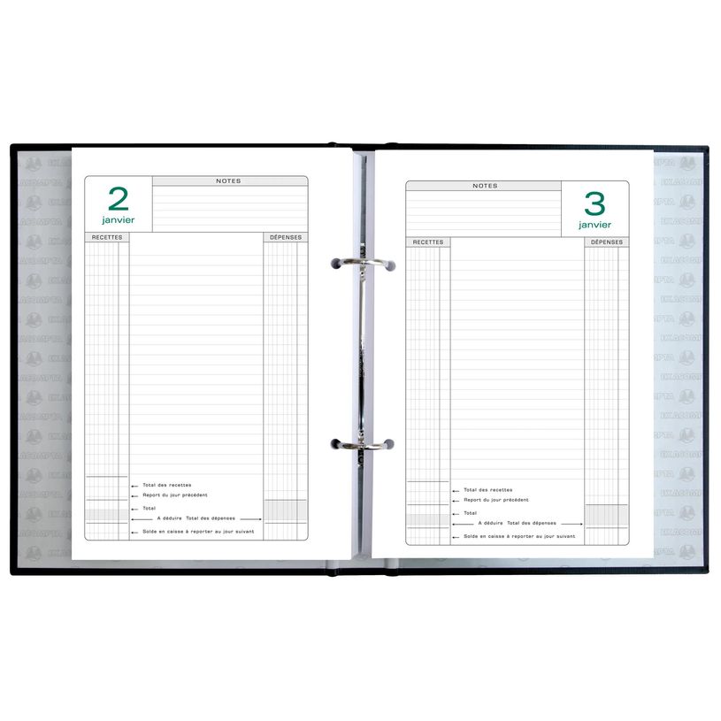 3130630389736-Recharge d'agenda Perpétuel de caisse - 1 jour par page - 16 x 24 cm - feuilles mobiles 2 trous - Exac--1