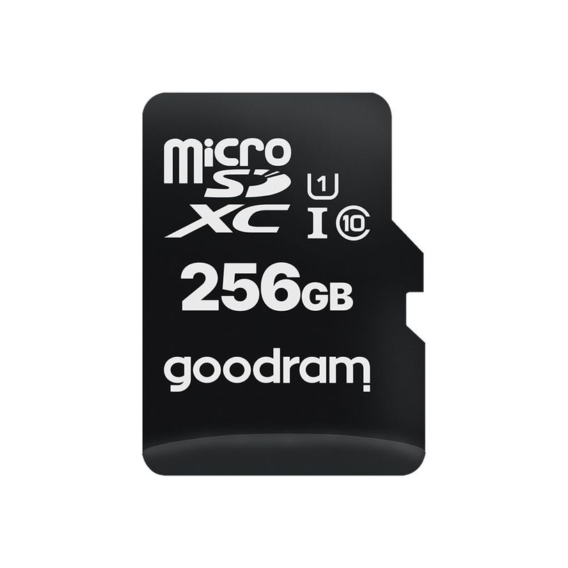 5908267930175-Goodram - carte mémoire 256 Go - Class 10 - micro SDXC UHS-I U1-P_400001599_1-0