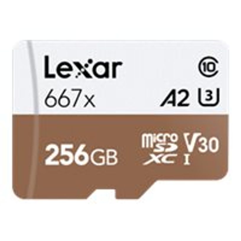 0843367107926-Lexar 667X - carte mémoire 256 Go - Class 10 - micro SDXC UHS-I-P_400001600_1-0