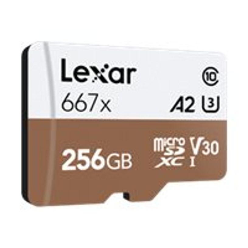 0843367107926-Lexar 667X - carte mémoire 256 Go - Class 10 - micro SDXC UHS-I-P_400001600_2-1
