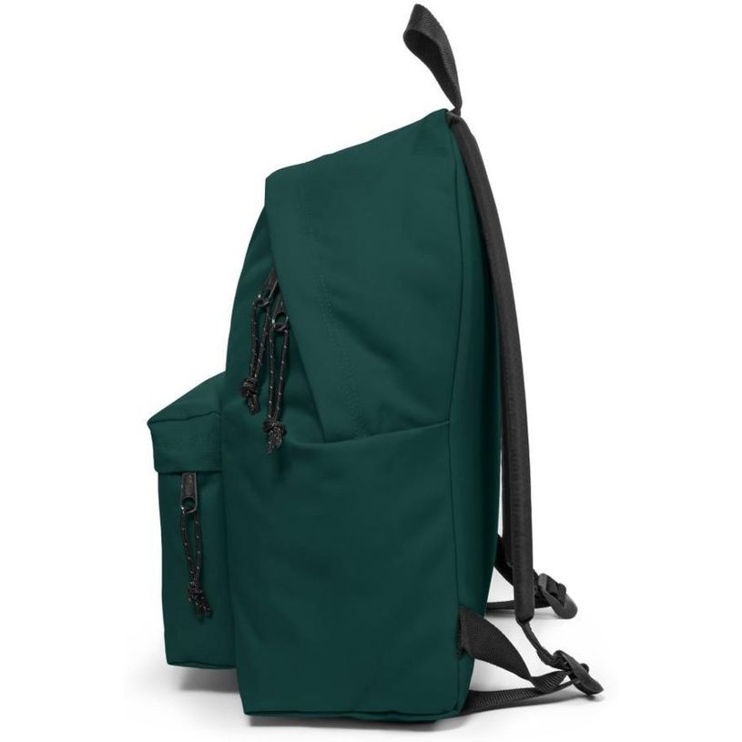 5400597850487-EASTPAK Padded Pak'r - Sac à dos - 40 cm - Gusty green-P_400002166_2-1