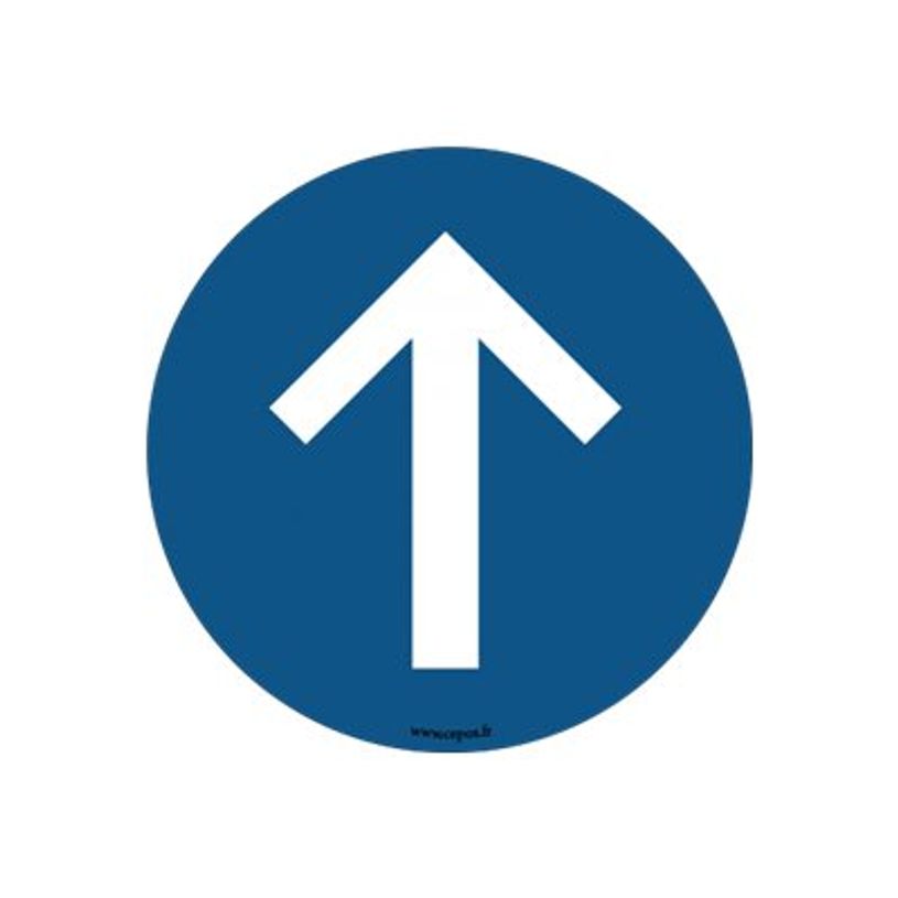 3462159015798-Take Care by CEP - Sticker de sol sens de circulation obligatoire - 45 cm de diamètre-P_400002228_1-0