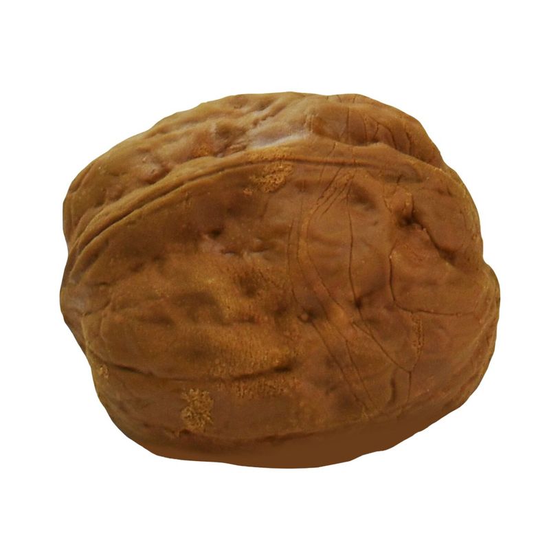 8058093948718-Legami - Gomme noix-P_400003591_1-0