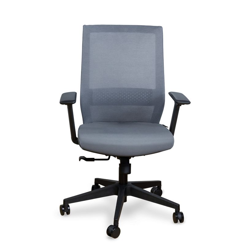 3700339917204-Fauteuil de bureau MAX - accoudoirs réglables - gris--2