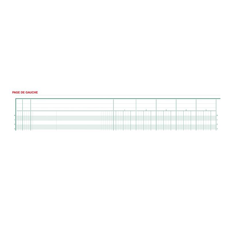 3130632061500-Exacompta - Piqûre comptable - 15 colonnes par page - 27 x 32 cm - 80 pages-P_400005484_1-0