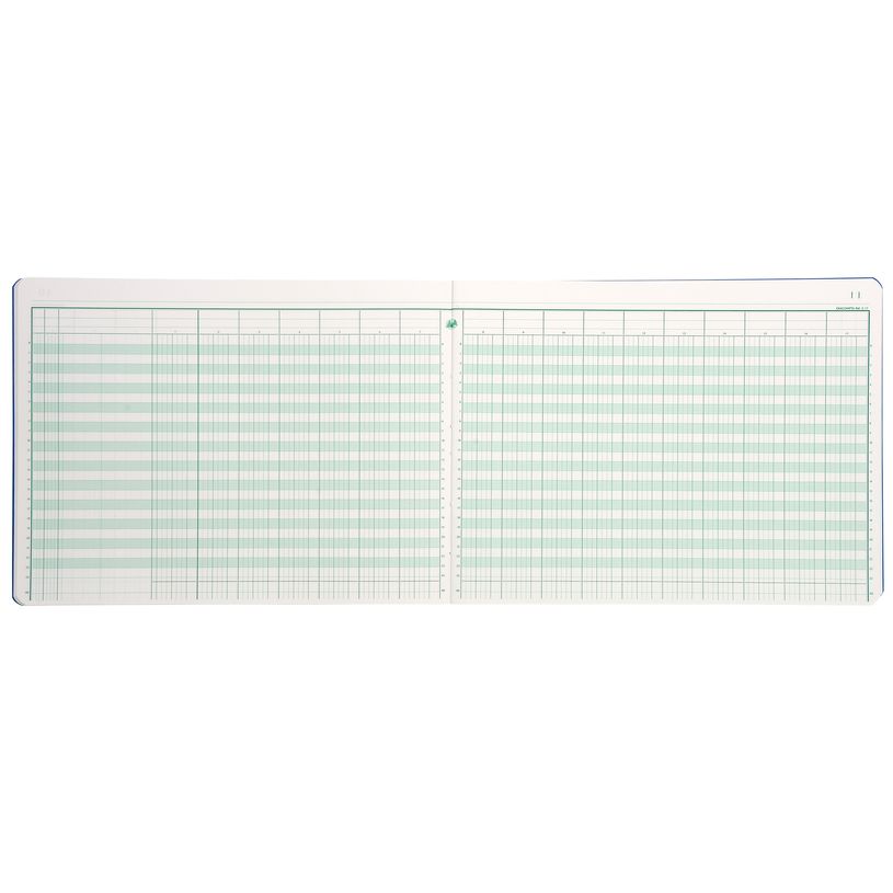 3130632061708-Exacompta - Piqûre comptable - 17 colonnes par page - 25 x 32 cm - 80 pages-P_400005485_7-6