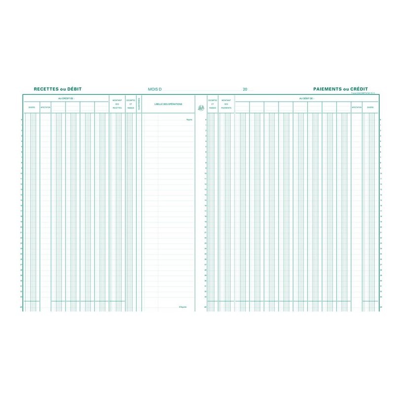 3130632065201-Exacompta - Journal de caisse ou banque - 9 débits/5 crédits - 32 x 25 cm - 80 pages-P_400005487_2-1