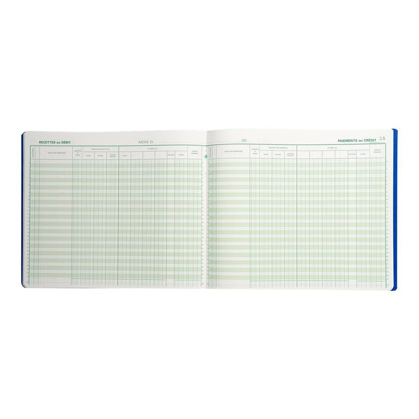 3130632068103-Exacompta - Journal de caisse/banque/chèques postaux - 5 débits/5 crédits - 27 x 32 cm -P_400005490_2-1