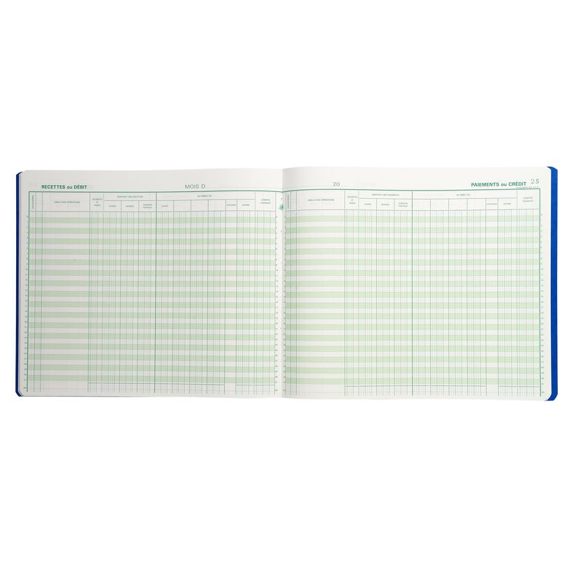 3130632068103-Exacompta - Journal de caisse/banque/chèques postaux - 5 débits/5 crédits - 27 x 32 cm -P_400005490_4-3