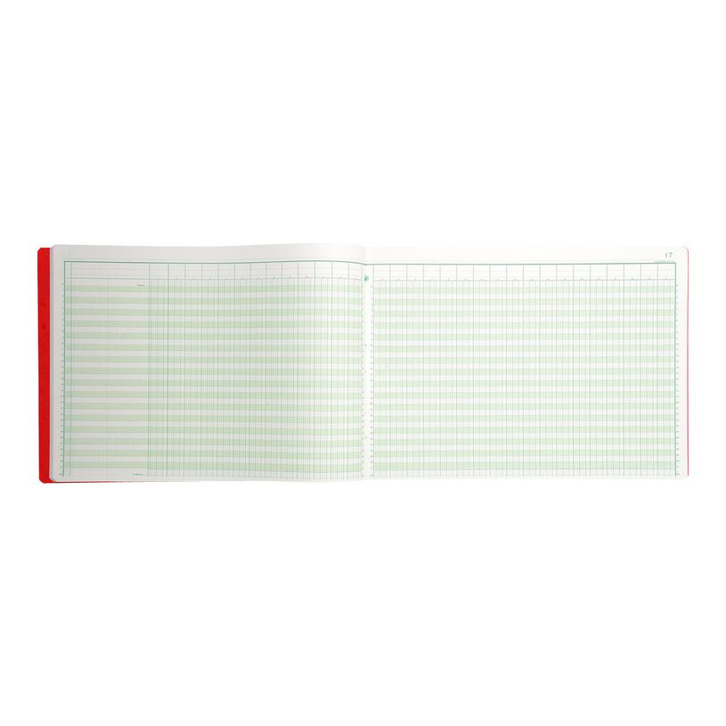 3130632083106-Exacompta - Piqûre comptable - 31 colonnes sur 2 pages - 28 x 38 cm - 80 pages-P_400005495_2-1