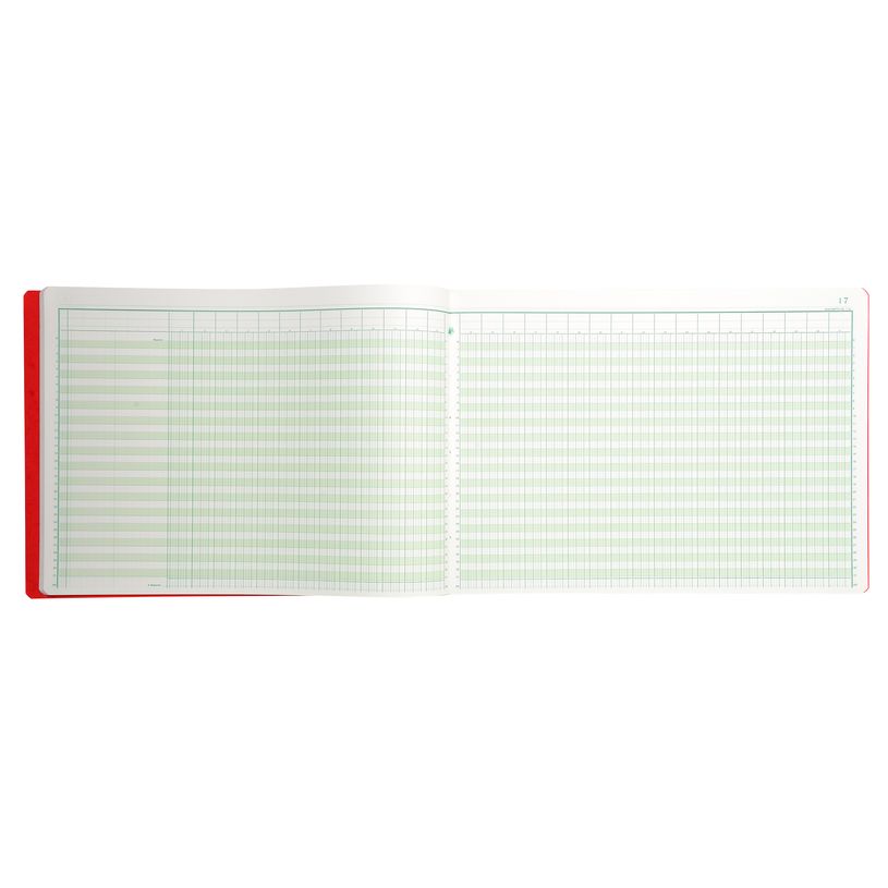 3130632083106-Exacompta - Piqûre comptable - 31 colonnes sur 2 pages - 28 x 38 cm - 80 pages-P_400005495_7-6