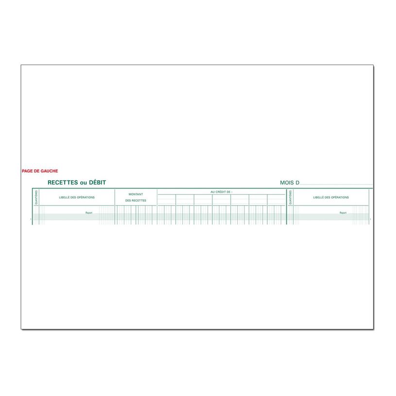 3130632096106-Exacompta - Journal de caisse ou banque - 22 colonnes : 15 débits/7 crédits - 28 x 38 cm-P_400005499_1-0