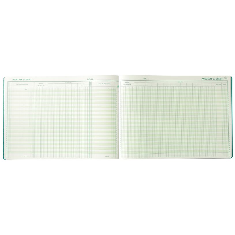 3130632096106-Exacompta - Journal de caisse ou banque - 22 colonnes : 15 débits/7 crédits - 28 x 38 cm-P_400005499_4-3