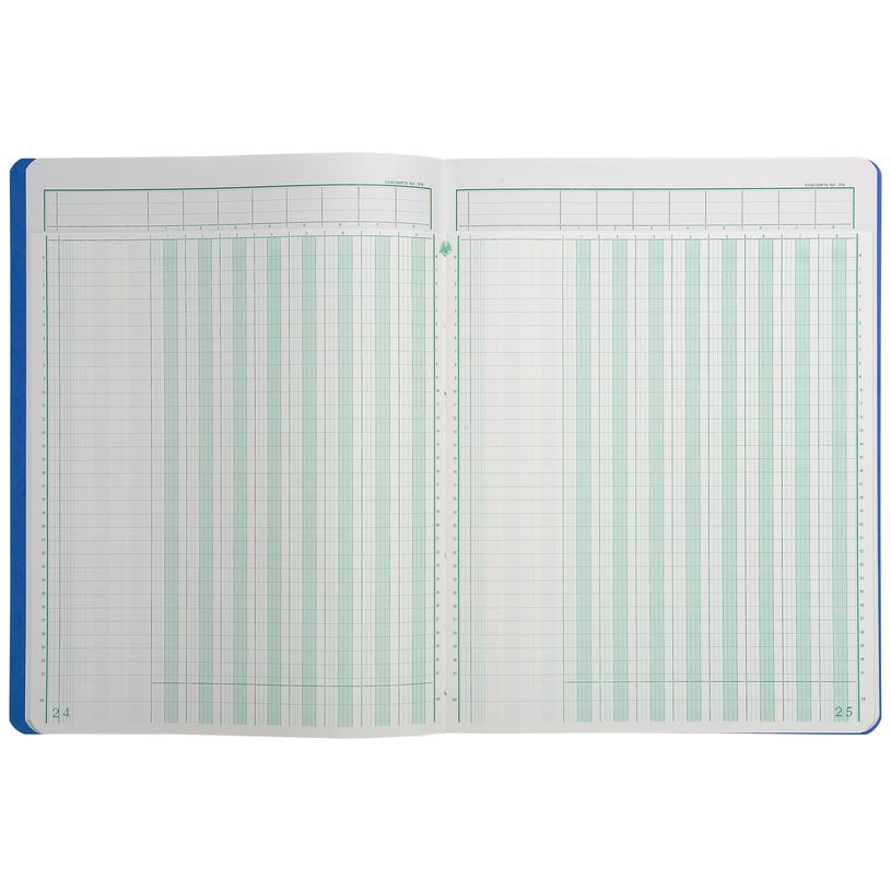 3130631140800-Exacompta - Piqûre à tête paresseuse - 8 colonnes sur 1 page - 32 x 25 cm - 80 pages - -P_400005506_3-1