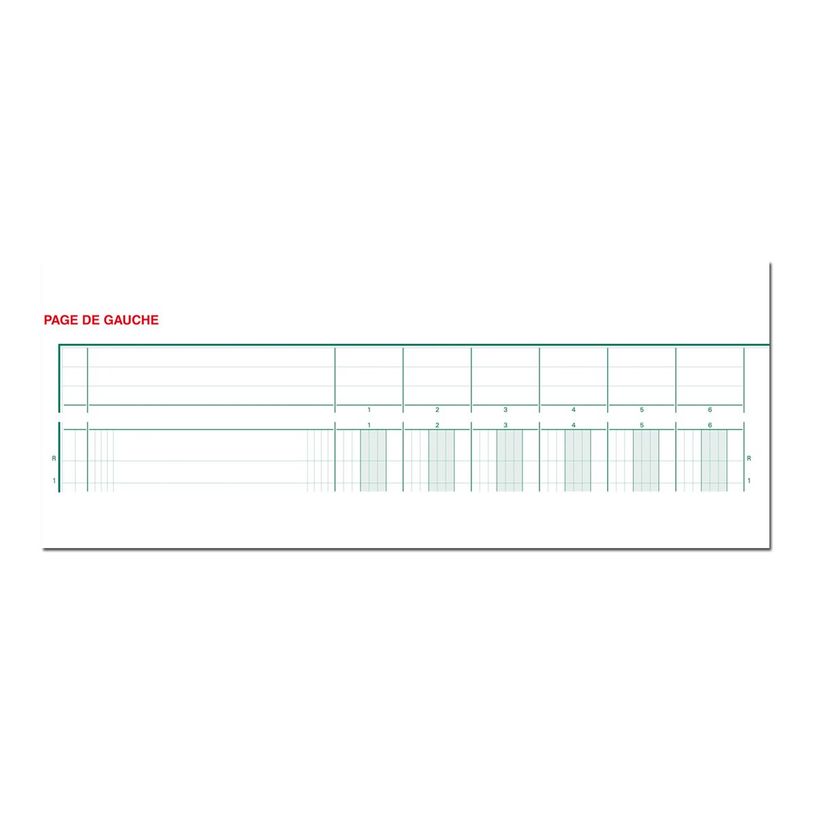 3130632141608-Exacompta - Piqûre à tête paresseuse - 16 colonnes sur 2 pages - 32 x 25 cm - 80 pages-P_400005511_1-0