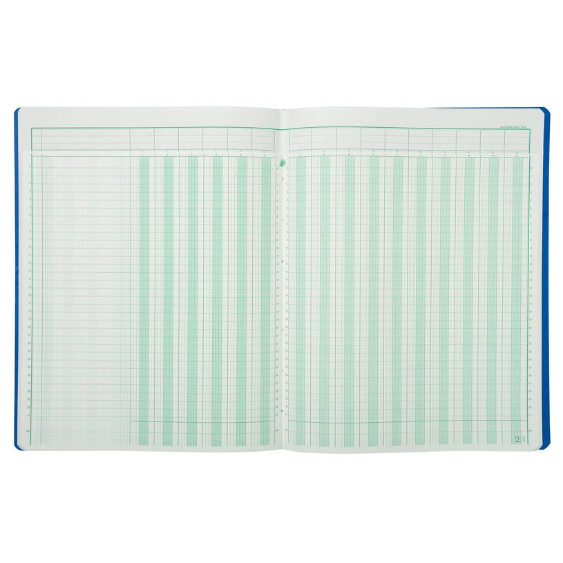 3130632141608-Exacompta - Piqûre à tête paresseuse - 16 colonnes sur 2 pages - 32 x 25 cm - 80 pages-P_400005511_6-5