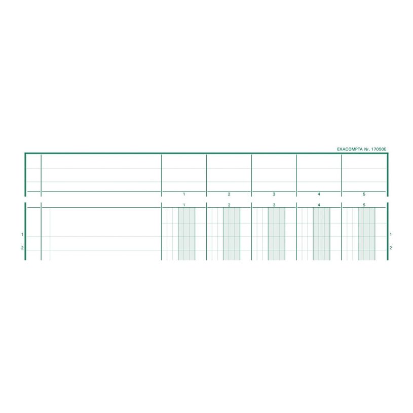 3130632170509-Exacompta - Piqûre à tête paresseuse - 5 colonnes sur 1 page - 29,7 x 21 cm - 80 pages-P_400005517_1-0