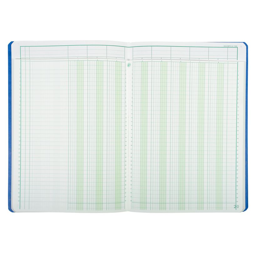 3130632170806-Exacompta - Piqûre à tête paresseuse - 8 colonnes sur 2 pages - 29,7 x 21 cm - 80 pages-P_400005518_6-5