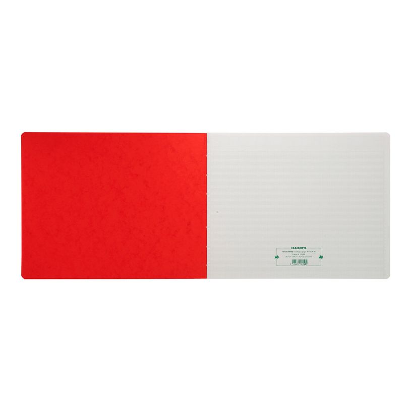 3130632181505-Exacompta - Piqûre à tête paresseuse - 15 colonnes sur 1 page - 29,7 x 38 cm - 80 pages-P_400005520_1-0