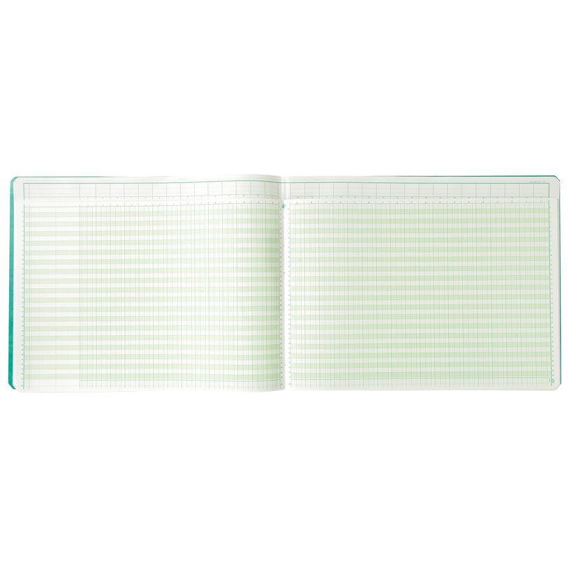 3130632183103-Exacompta - Piqûre à tête paresseuse - 32 colonnes sur 2 pages - 29,7 x 38 cm - 80 page-P_400005522_6-5