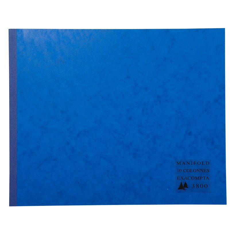 3130630038009-Exacompta - Manifold Carnet 10 colonnes - 50 dupli - 29,7 x 37 cm-P_400005538_2-1