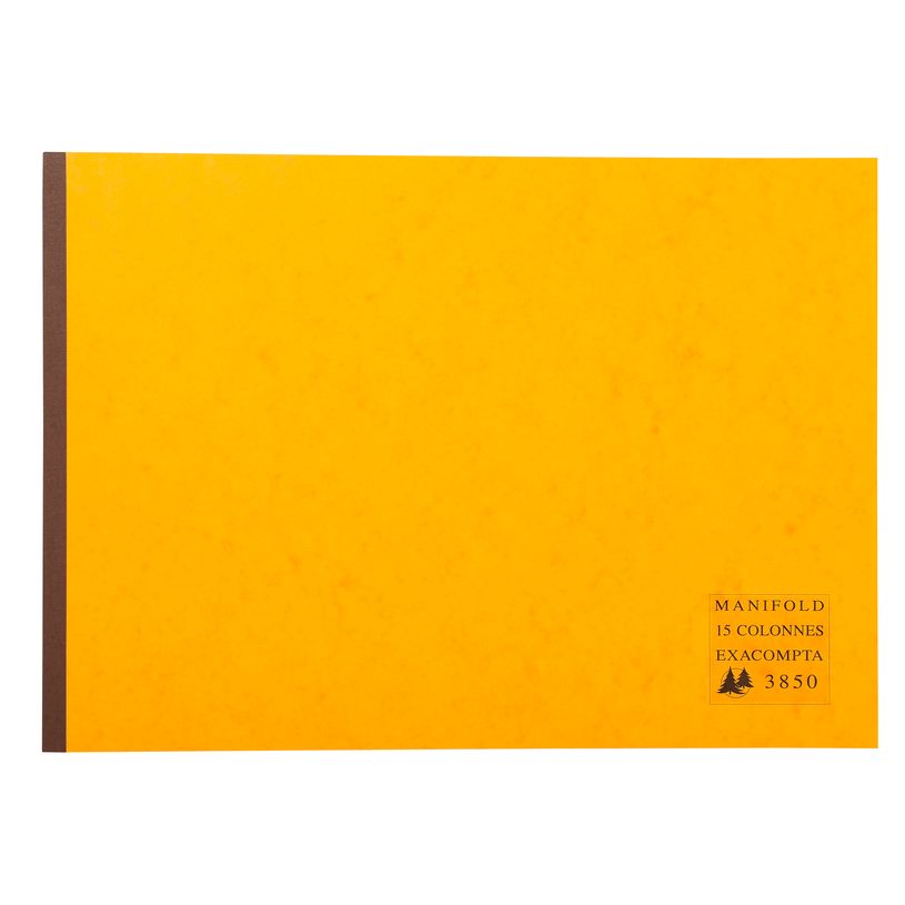 3130630038504-Exacompta - Manifold Carnet 15 colonnes - 50 dupli - 29,7 x 42 cm-P_400005539_2-1