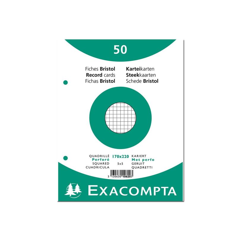 3130632106201-Exacompta - 24 Packs de 50 Fiches Bristol - 17 x 22 cm - petits carreaux - perforées - bl-P_400005614_1-2