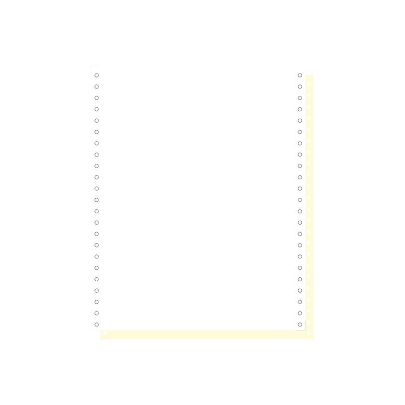 3130630622321-Exacompta - Papier listing blanc/jaune - 1000 feuilles 240 mm x 11 4/6" - bandes Caroll d