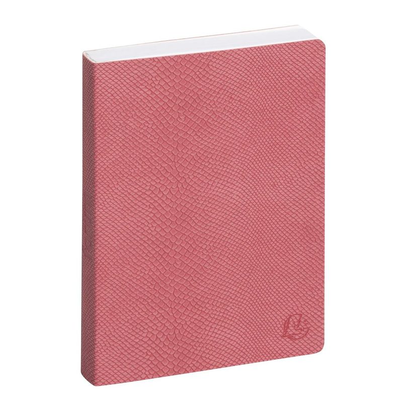 3660942072458-Agenda Kaa - 1 jour par page - 12 x 17 cm - disponible dans différentes couleurs - Exacom-P_400005841_8-1