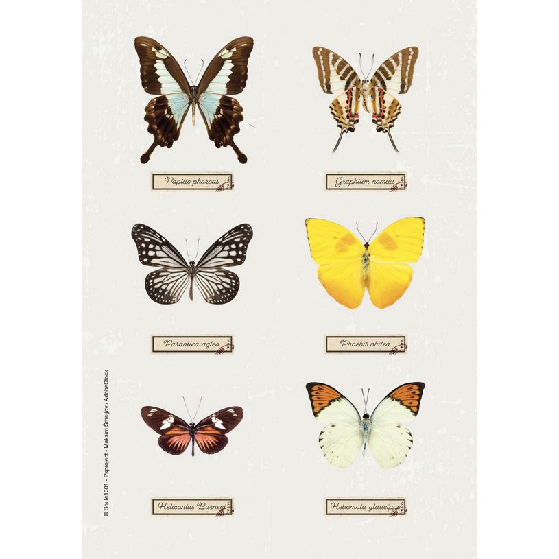 3660942072090-Agenda Curiosités - 1 jour par page - 12 x 17 cm - disponible dans différentes couleurs-P_400005842_10-3